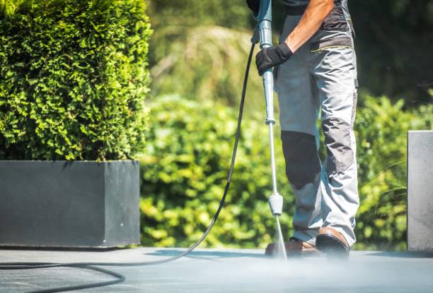 Best Fence Cleaning  in Bemiss, GA